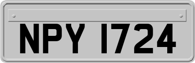 NPY1724