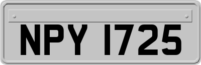 NPY1725