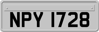 NPY1728