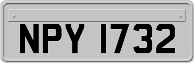 NPY1732