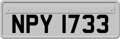 NPY1733
