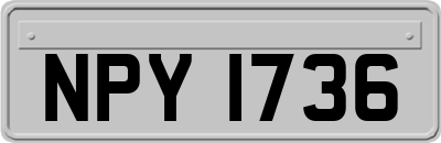 NPY1736