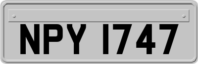 NPY1747