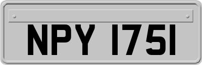 NPY1751