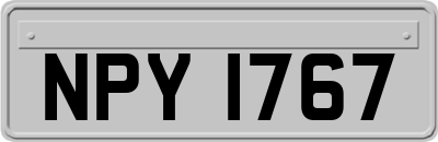 NPY1767