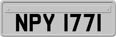 NPY1771