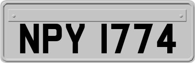 NPY1774