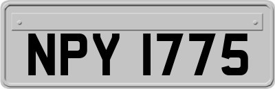 NPY1775