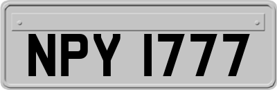 NPY1777