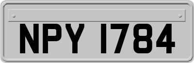 NPY1784
