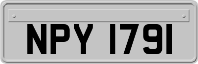 NPY1791