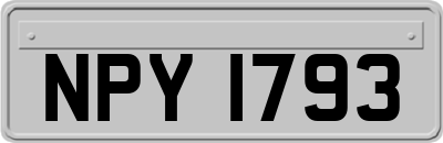 NPY1793