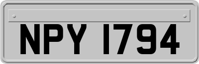 NPY1794