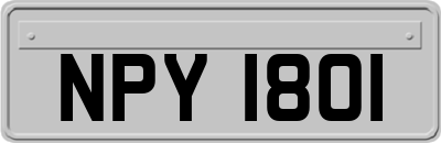NPY1801