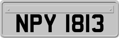 NPY1813