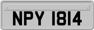 NPY1814