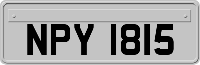 NPY1815