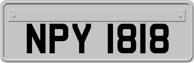 NPY1818
