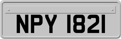 NPY1821