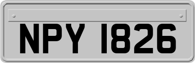 NPY1826