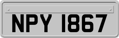 NPY1867