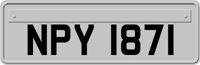 NPY1871
