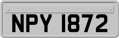 NPY1872
