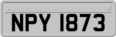 NPY1873