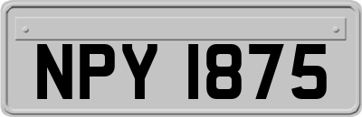 NPY1875