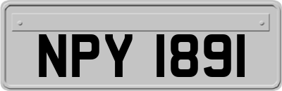 NPY1891