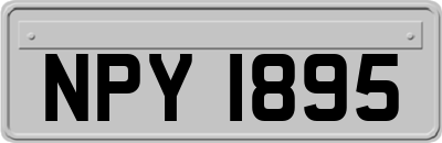 NPY1895