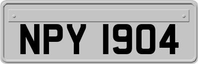 NPY1904