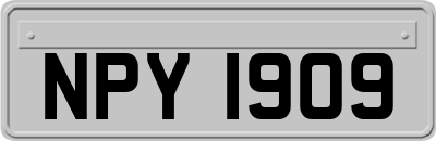 NPY1909