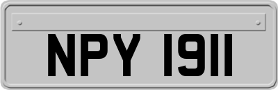 NPY1911