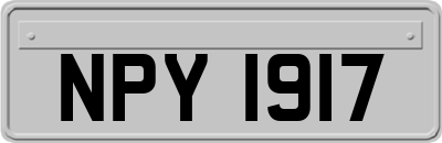 NPY1917