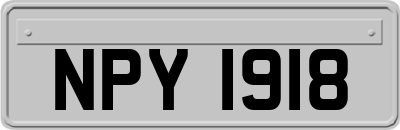 NPY1918