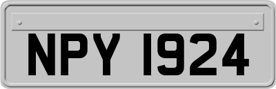 NPY1924