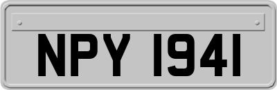 NPY1941