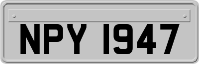 NPY1947