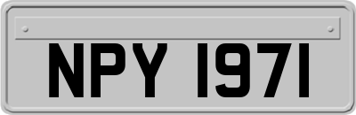 NPY1971