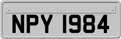 NPY1984