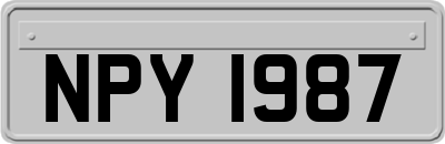 NPY1987