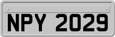 NPY2029