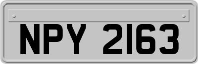 NPY2163