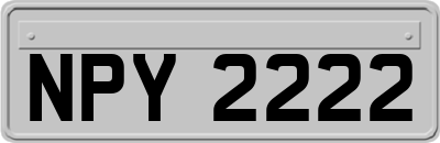 NPY2222