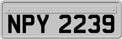 NPY2239