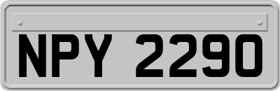 NPY2290