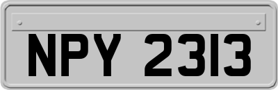 NPY2313