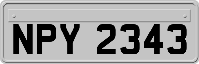 NPY2343