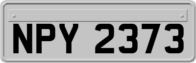 NPY2373
